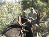 Moose Hunting With John Tolbert